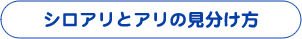 シロアリとアリの見分け方